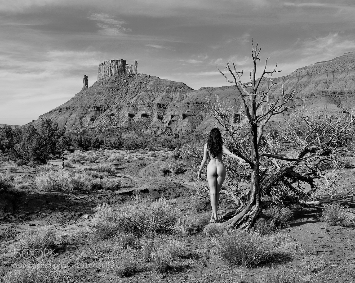 Canon EOS 6D Mark II sample photo. In the wilderness photography
