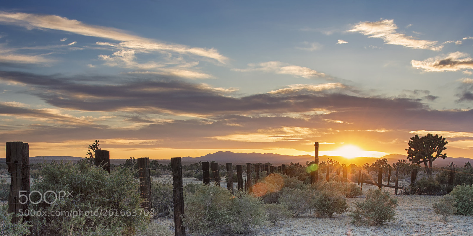 Nikon D800 sample photo. Mojave sunset photography