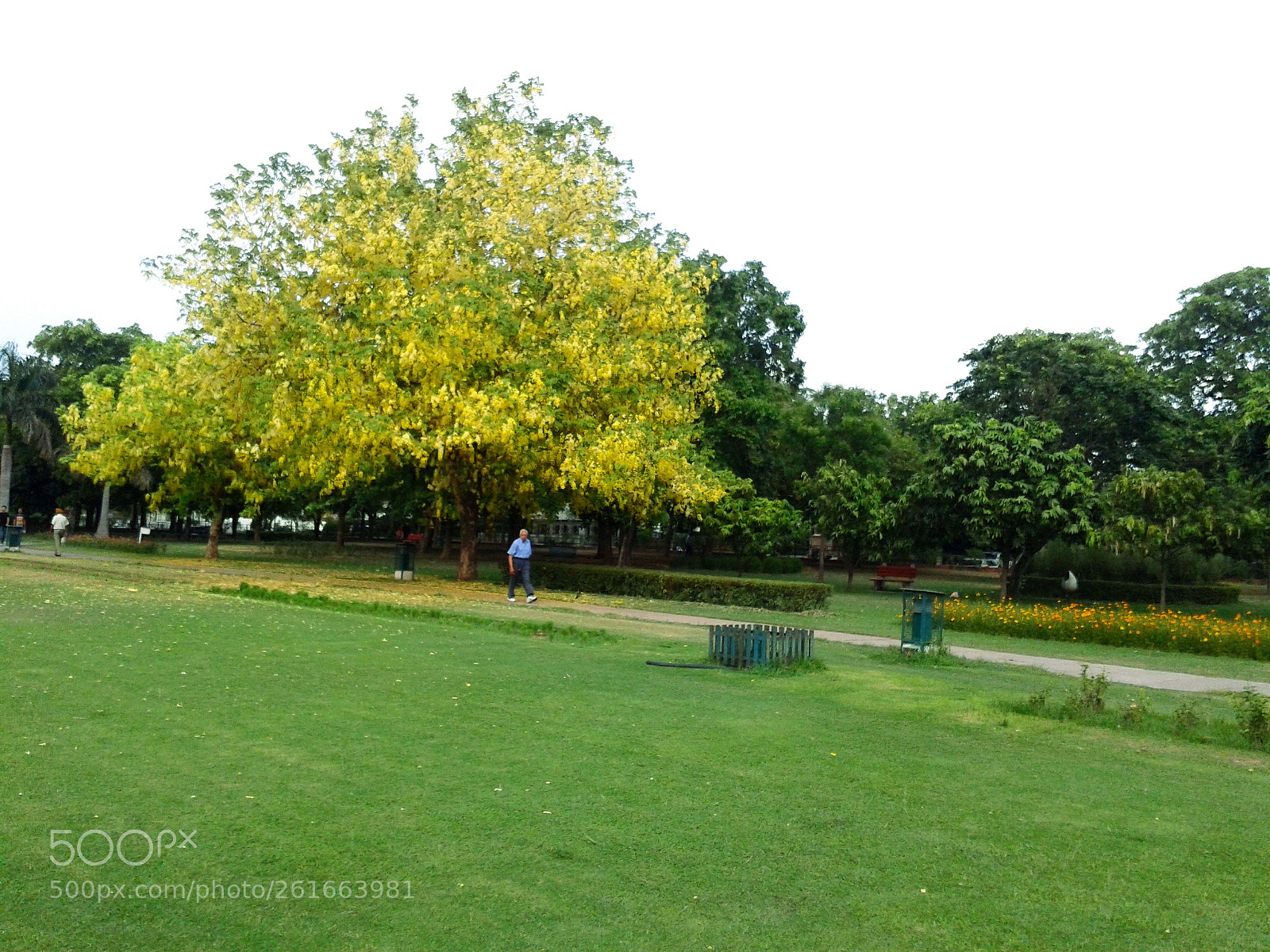 Samsung Galaxy Ace sample photo. Garden of fragrance, chandigarh photography