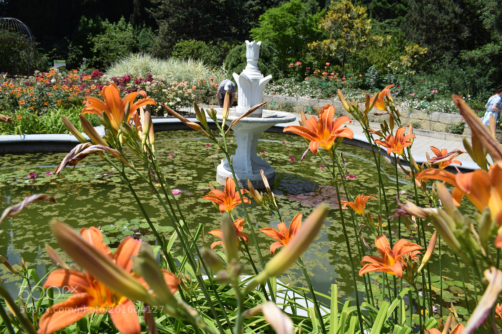Nikon D5300 sample photo. Dsc photography