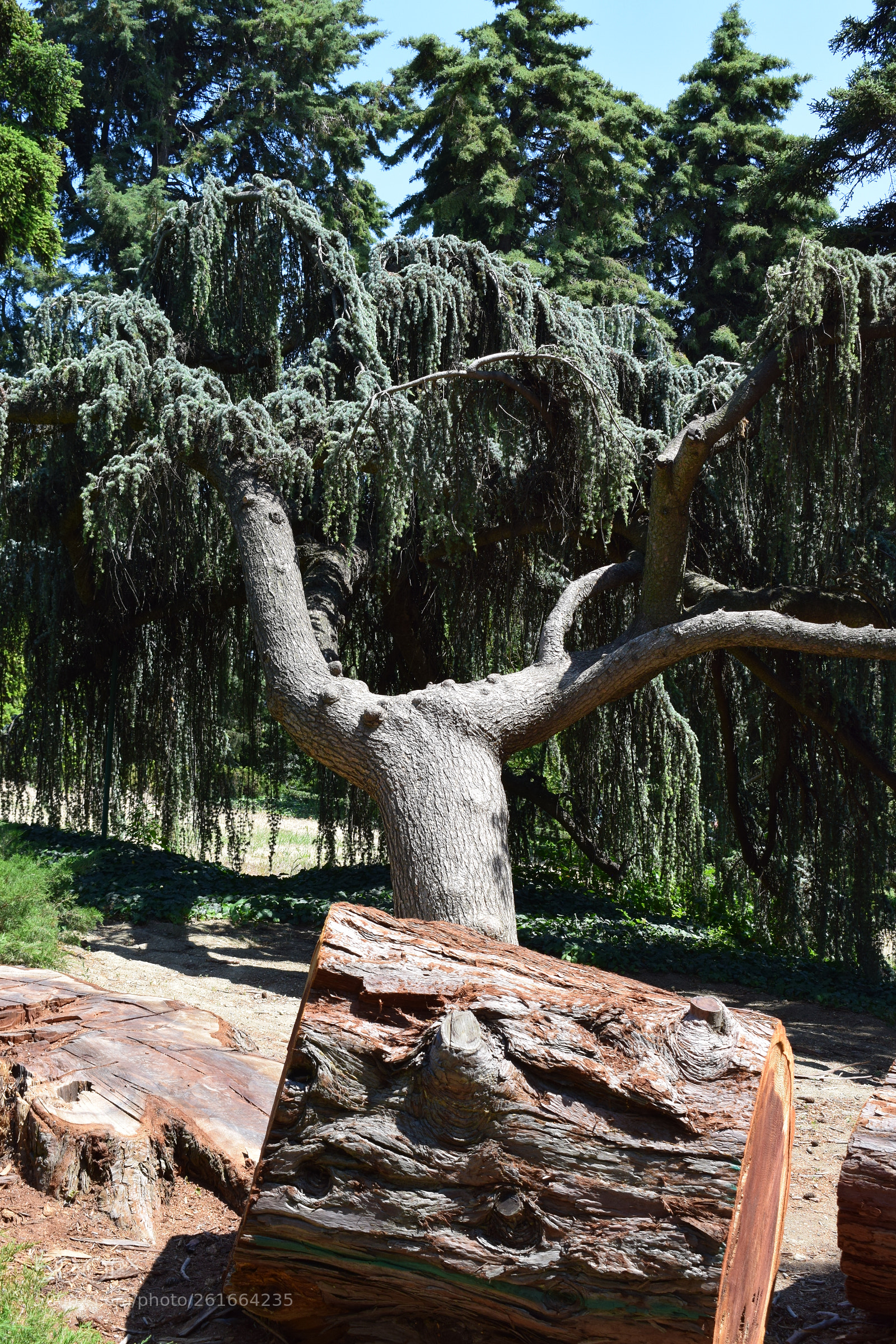 Nikon D5300 sample photo. Dsc photography