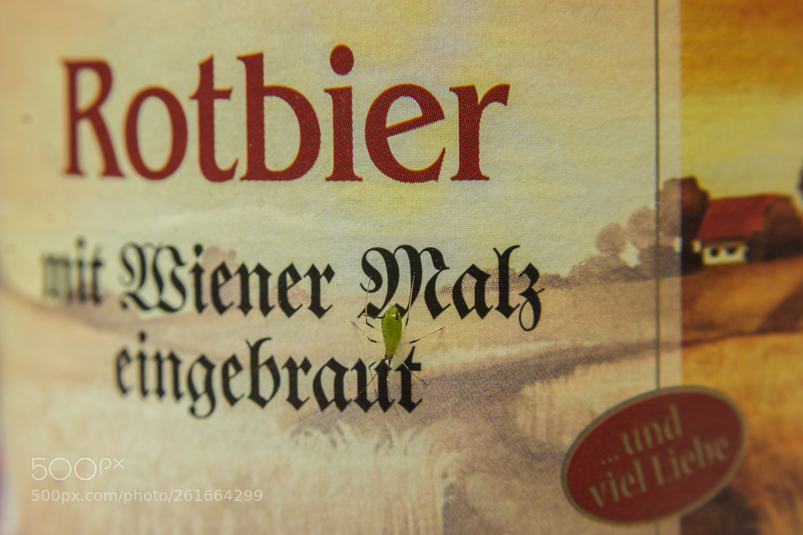 Nikon D7100 sample photo. Connoisseur of beer photography