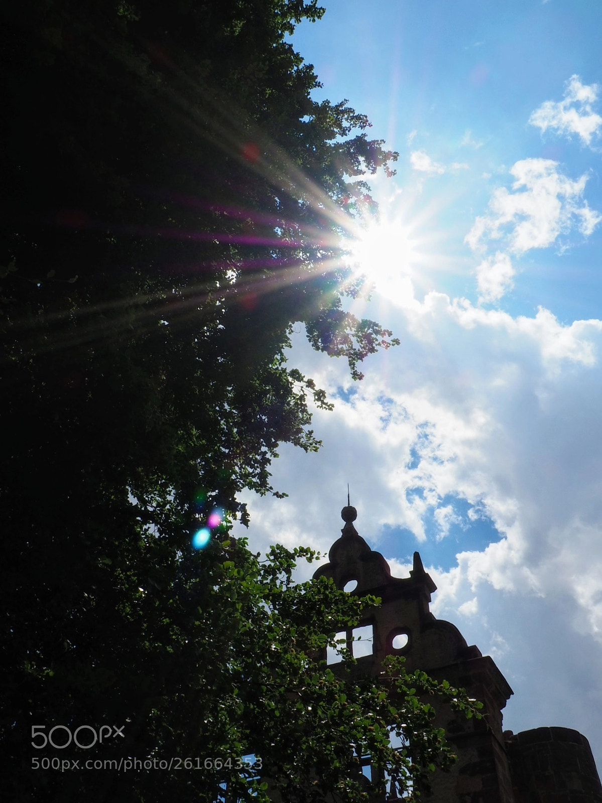 Olympus OM-D E-M10 III sample photo. Sun behind trees photography