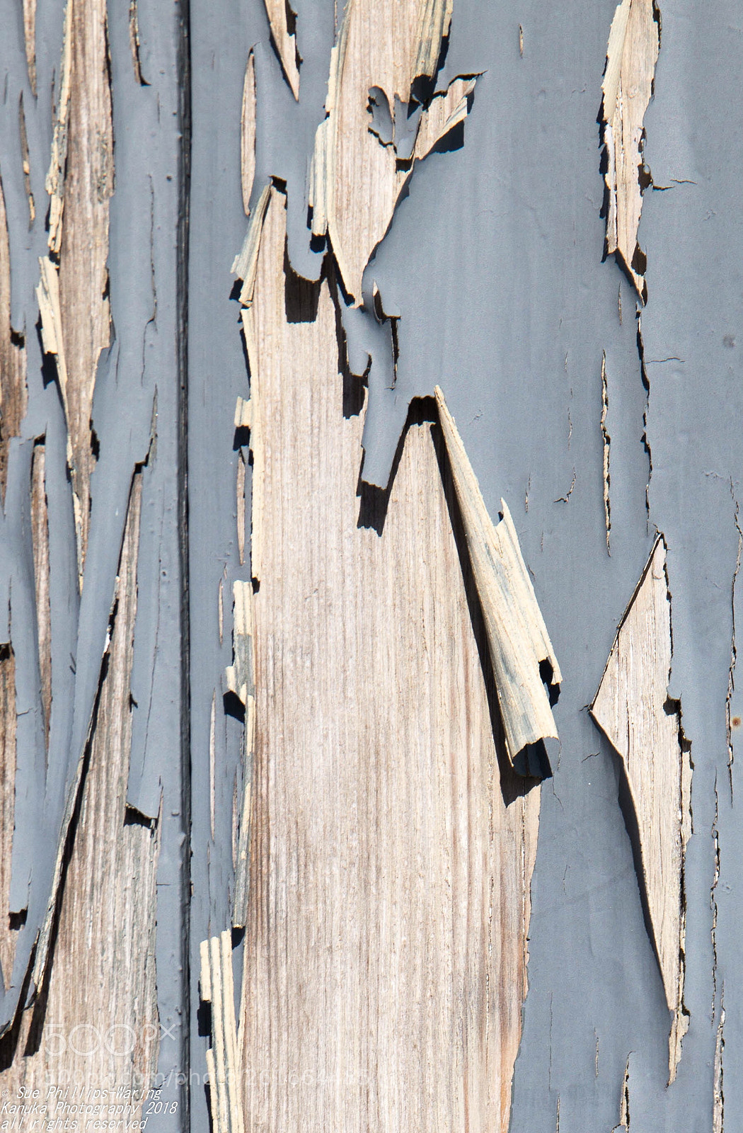 Canon EOS 6D sample photo. Flaky paint photography