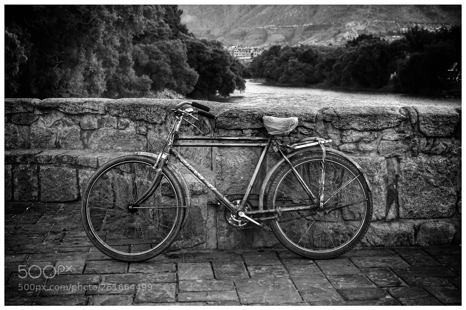 Canon EOS 1000D (EOS Digital Rebel XS / EOS Kiss F) sample photo. Bike photography