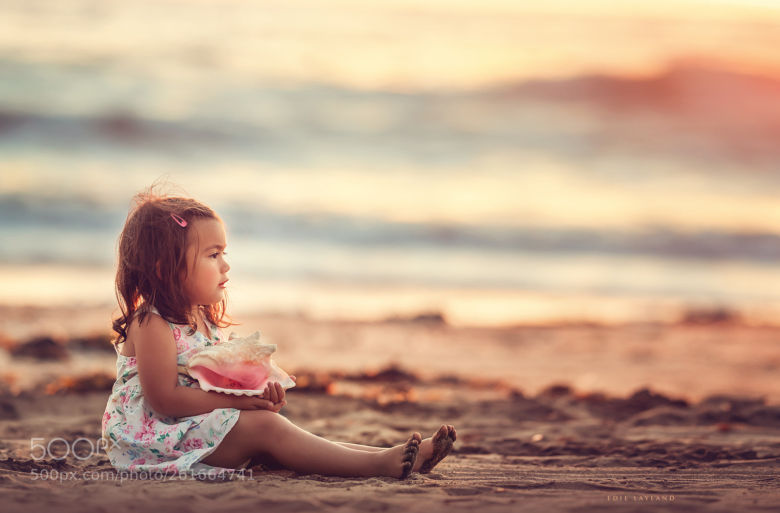 Nikon D850 sample photo. Pink shell photography