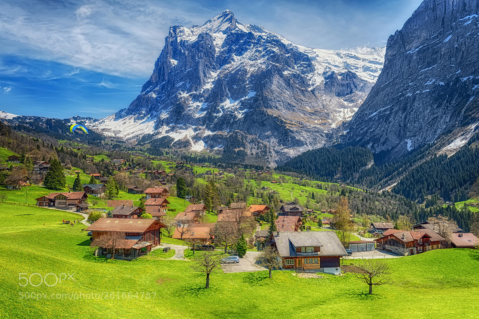Nikon D810 sample photo. Grindelwald valley in switzerland photography