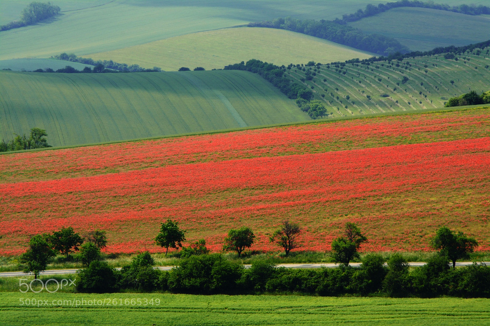 Nikon D7100 sample photo. Moravian countryside photography
