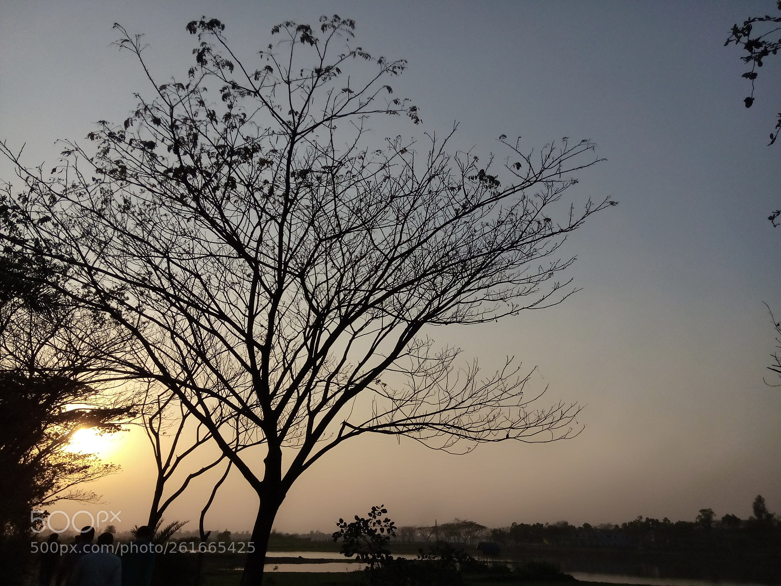 OPPO 1201 sample photo. Untitled photography