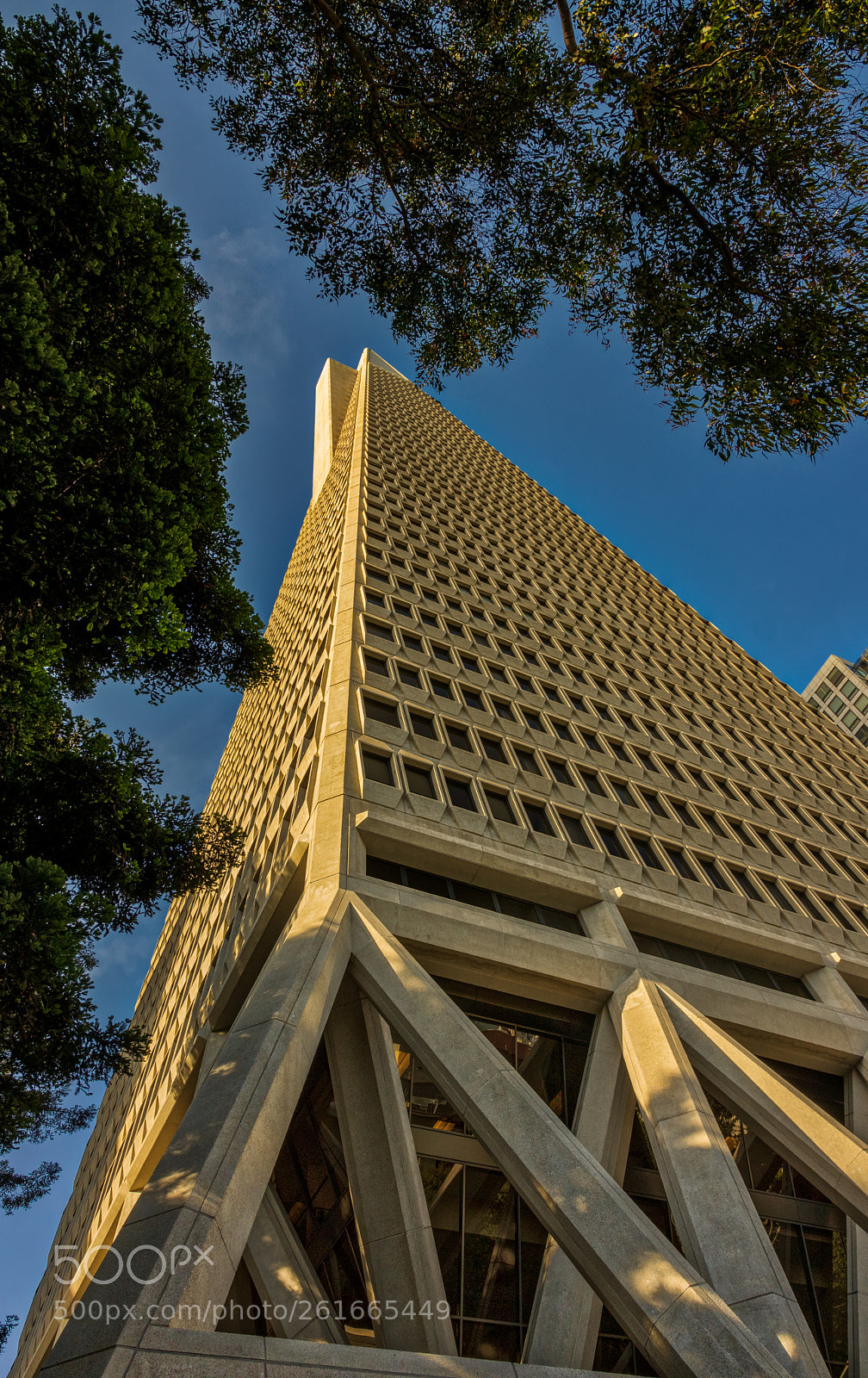 Pentax K-3 II sample photo. Trans merica pyramid photography
