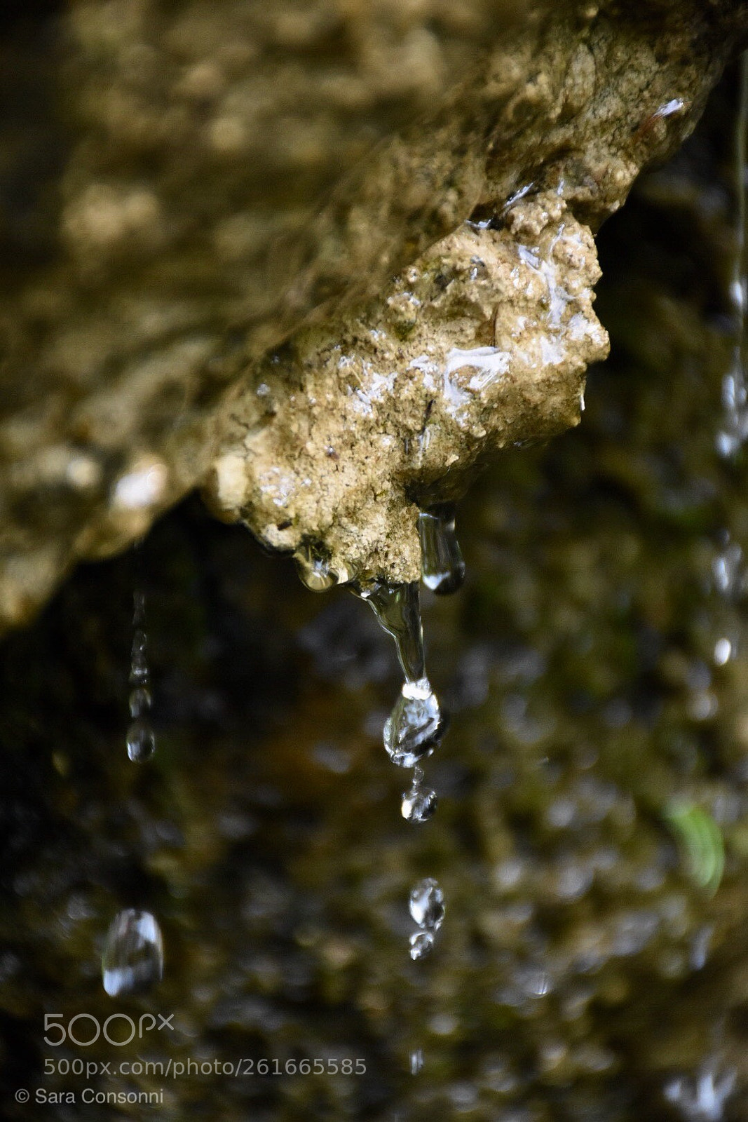 Nikon D7200 sample photo. Acqua photography