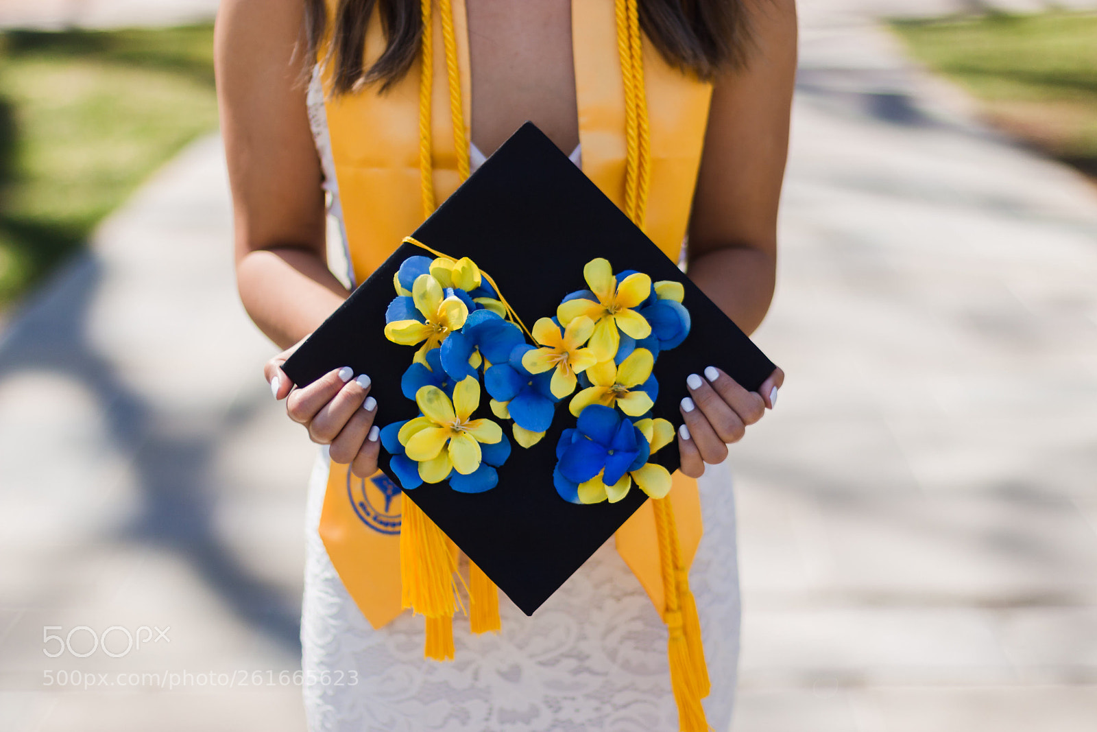 Canon EOS 700D (EOS Rebel T5i / EOS Kiss X7i) sample photo. University of michigan graduation photography