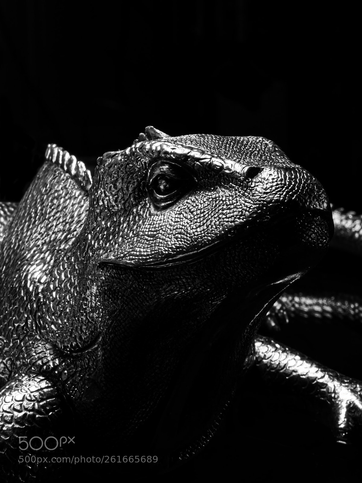 Olympus OM-D E-M5 sample photo. Metal lizard photography