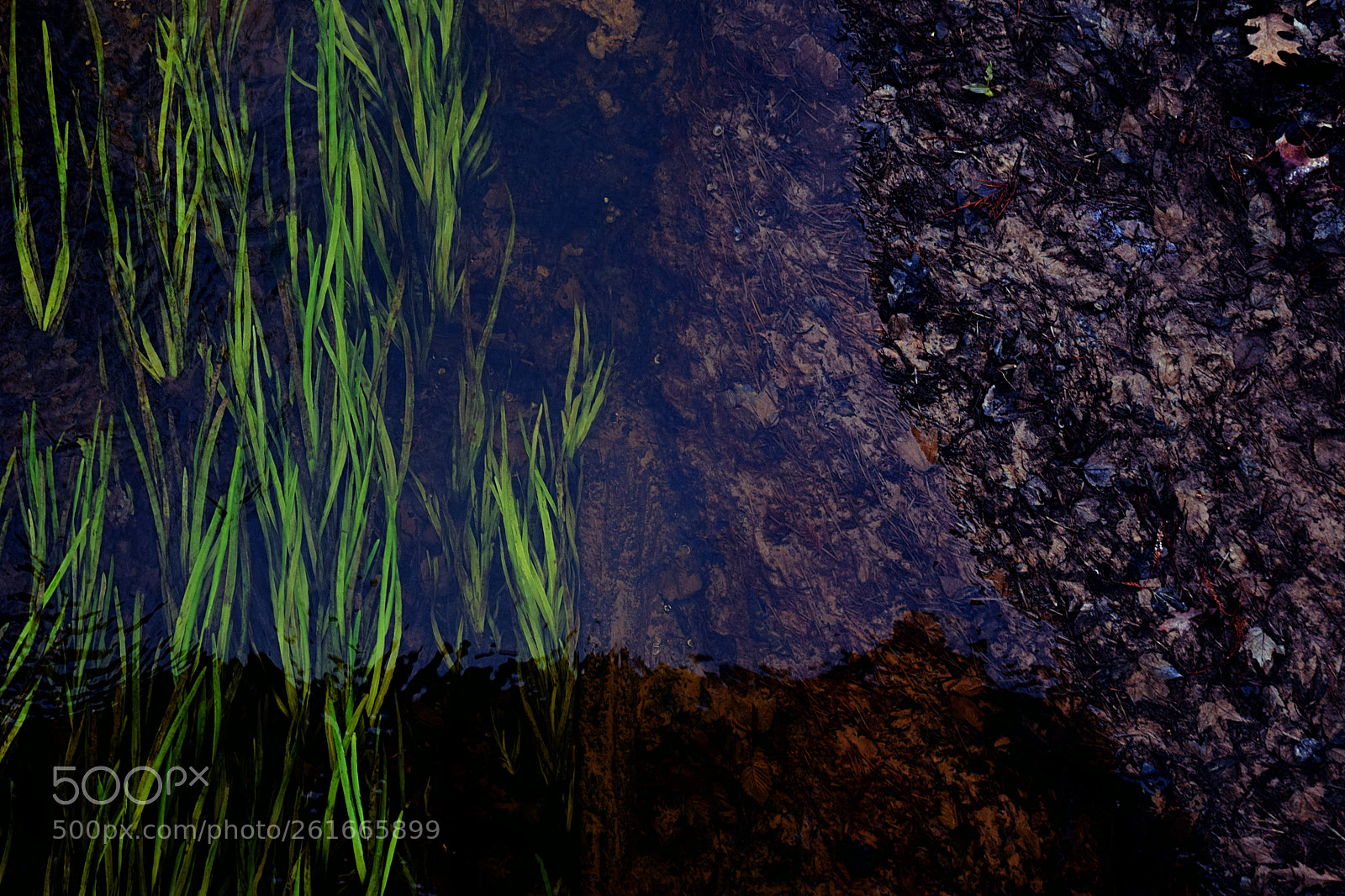 Nikon D3300 sample photo. Riverbed photography