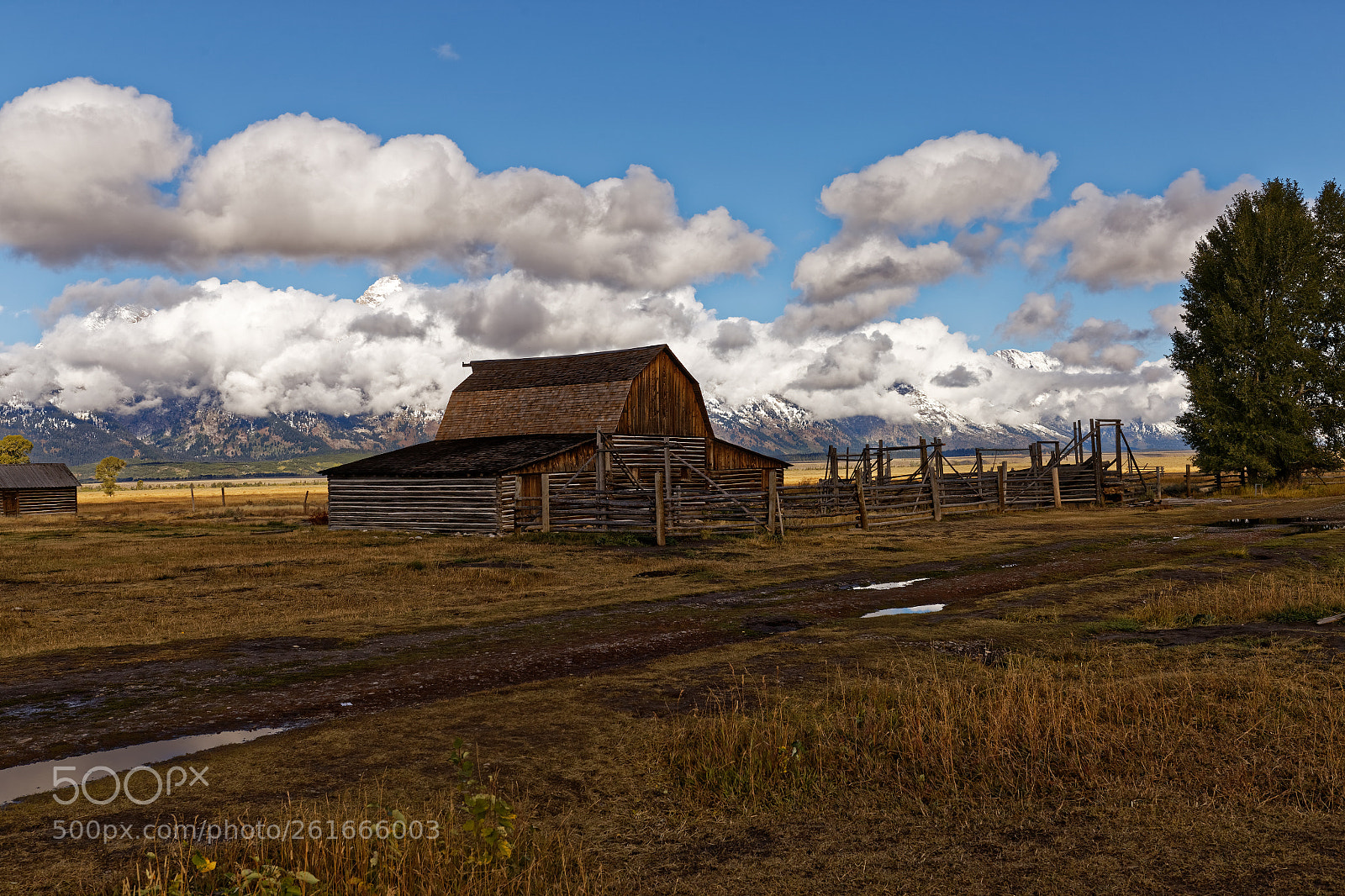 Canon EOS 6D + Sigma 35mm F1.4 DG HSM Art sample photo. Multainsbarn photography