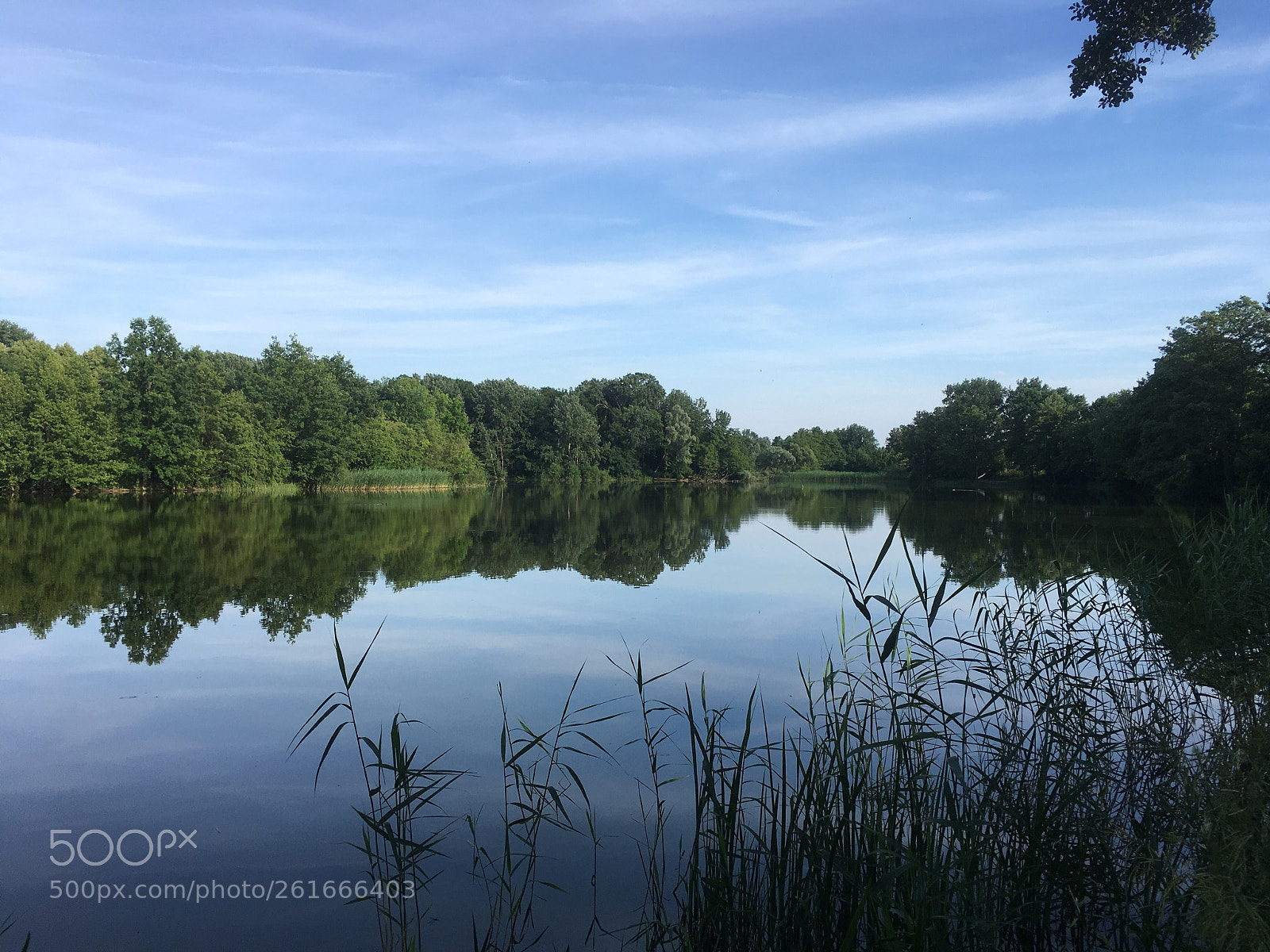 Apple iPhone SE sample photo. Beautiful lake view photography