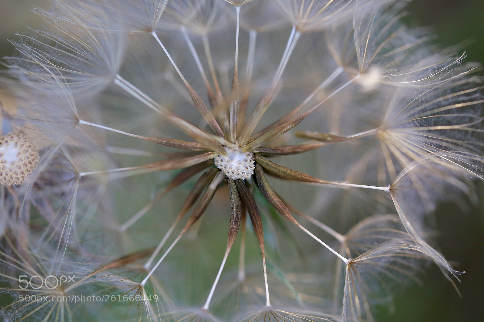 Canon EOS 6D sample photo. Stadtrandsiedlung malchow photography
