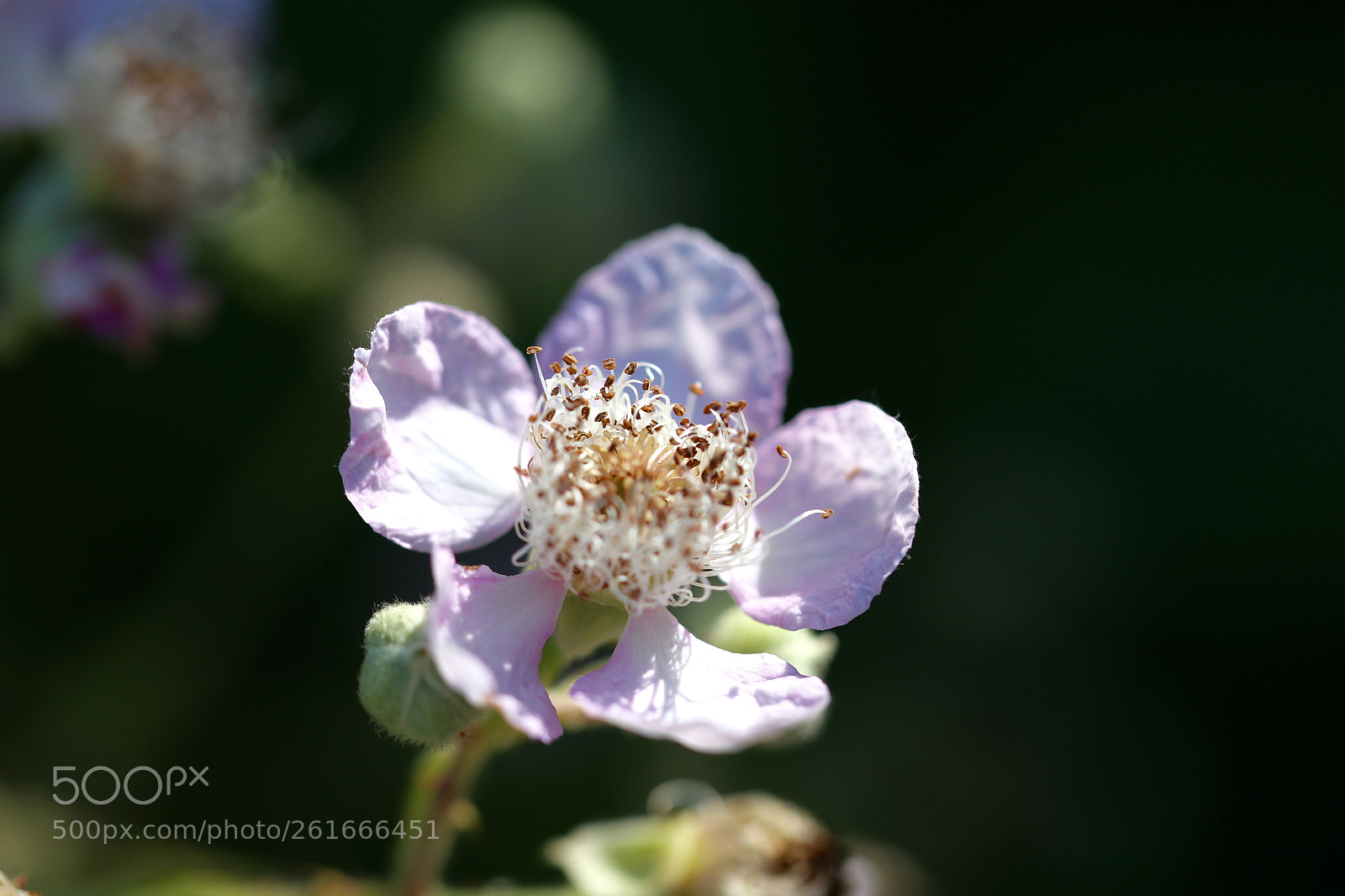 Canon EOS 6D sample photo. Stadtrandsiedlung malchow photography