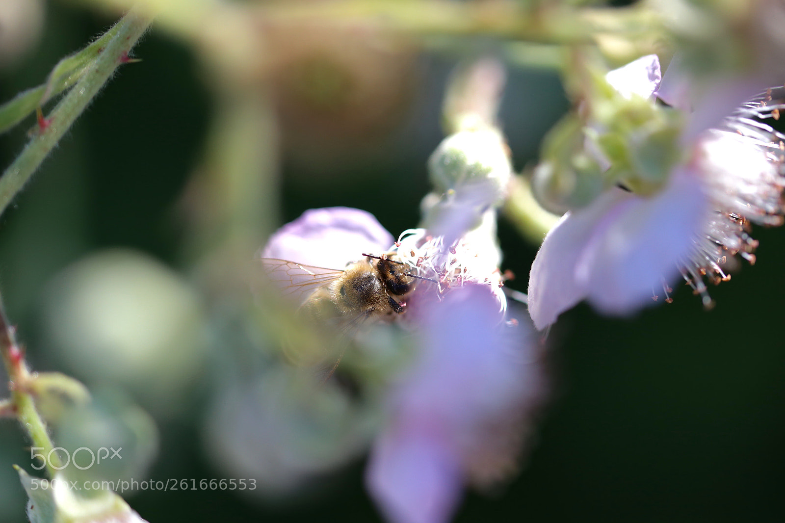 Canon EOS 6D sample photo. Stadtrandsiedlung malchow photography