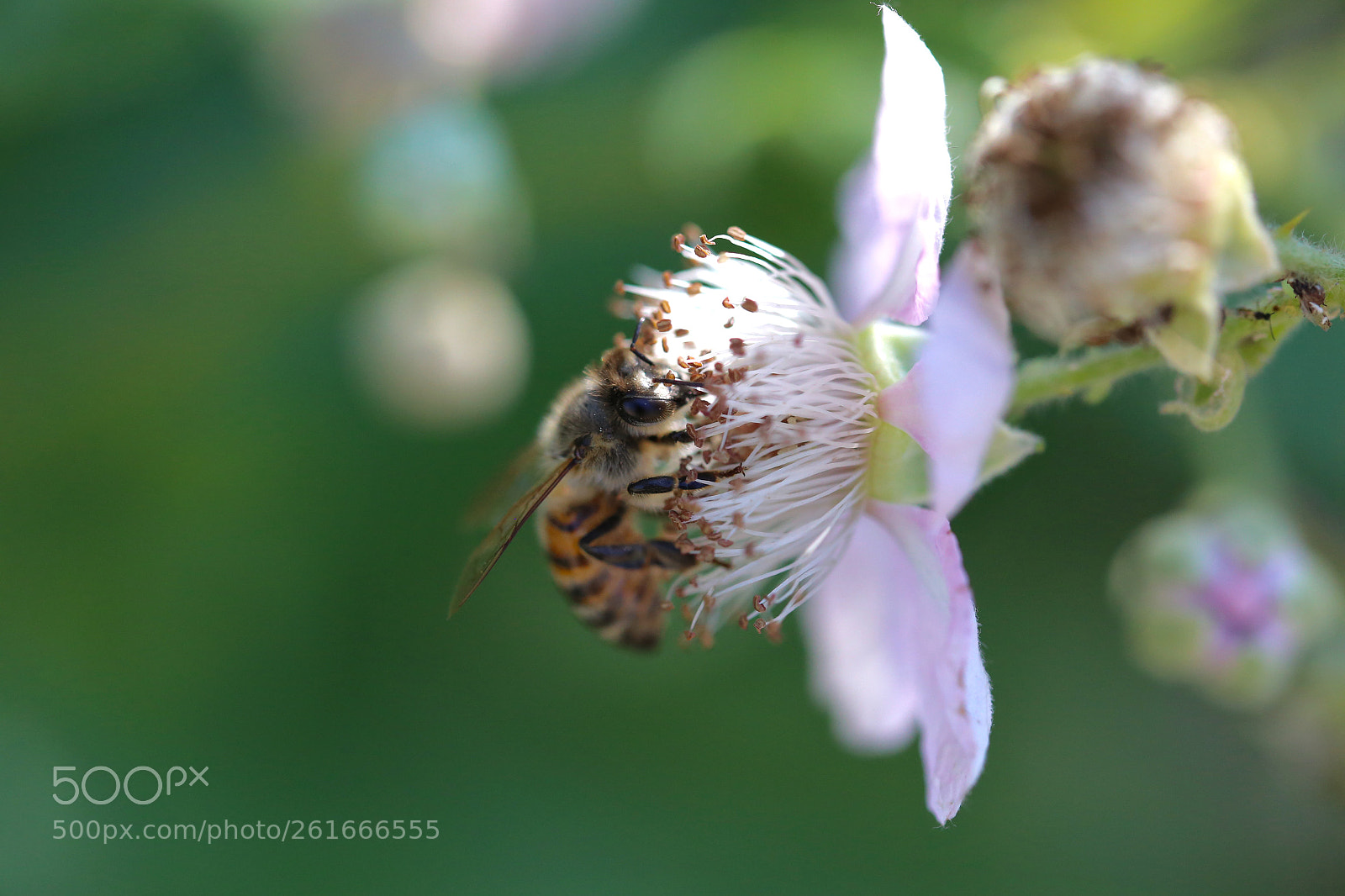 Canon EOS 6D sample photo. Stadtrandsiedlung malchow photography