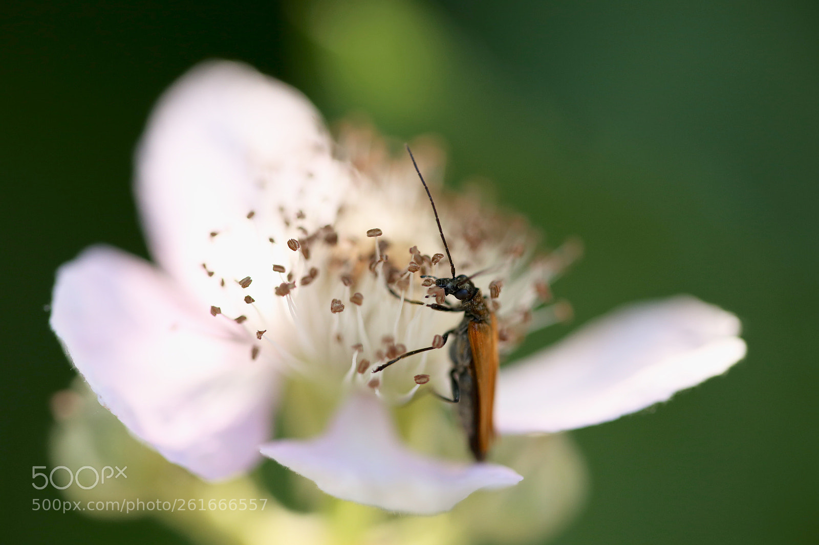 Canon EOS 6D sample photo. Stadtrandsiedlung malchow photography