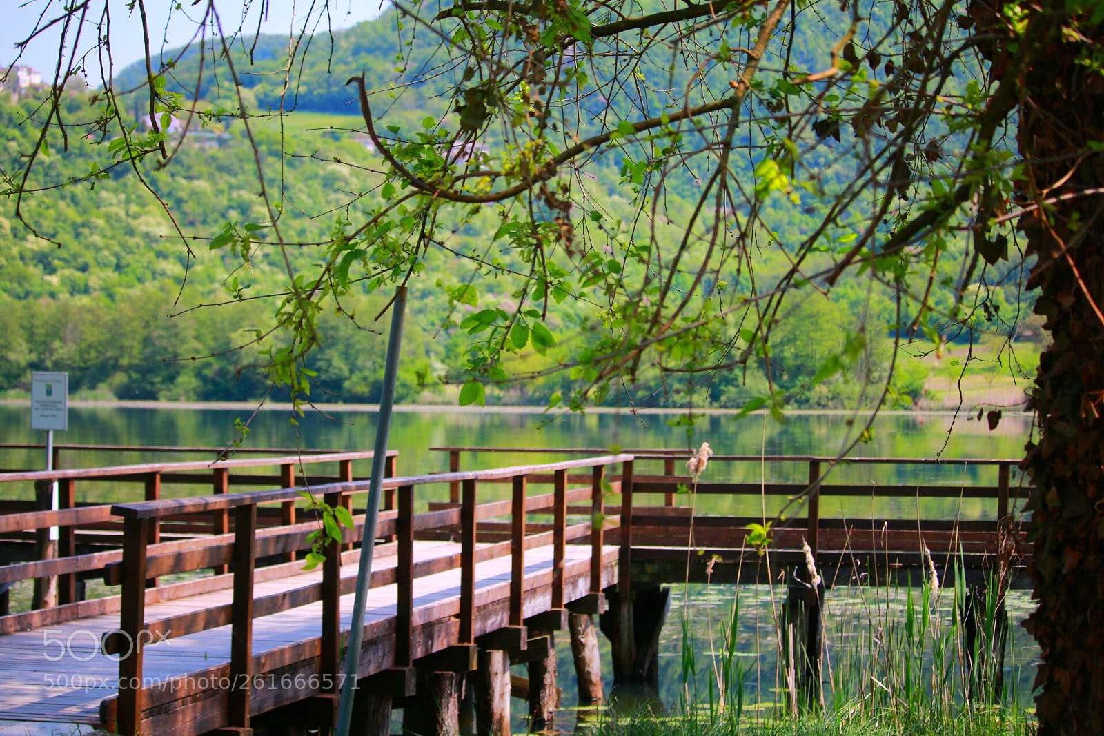 Canon EOS 70D sample photo. Untitled photography