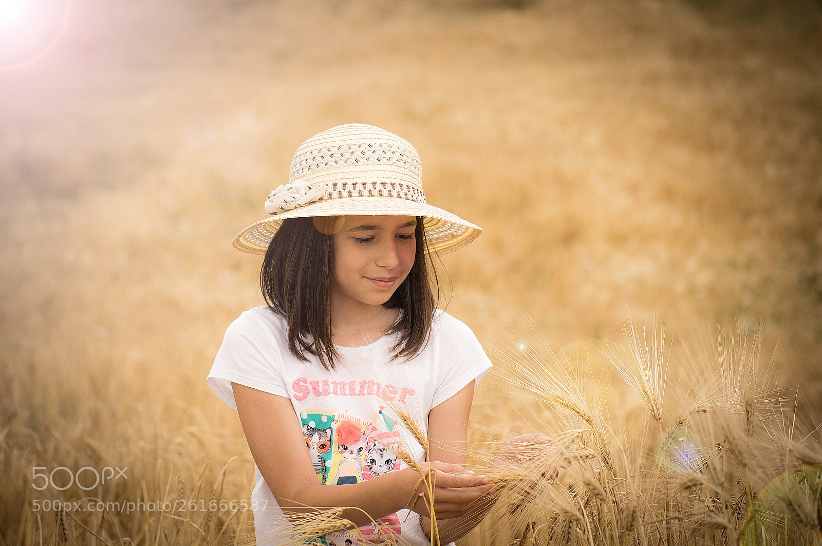 Nikon D3300 sample photo. Somewehere in the fields photography