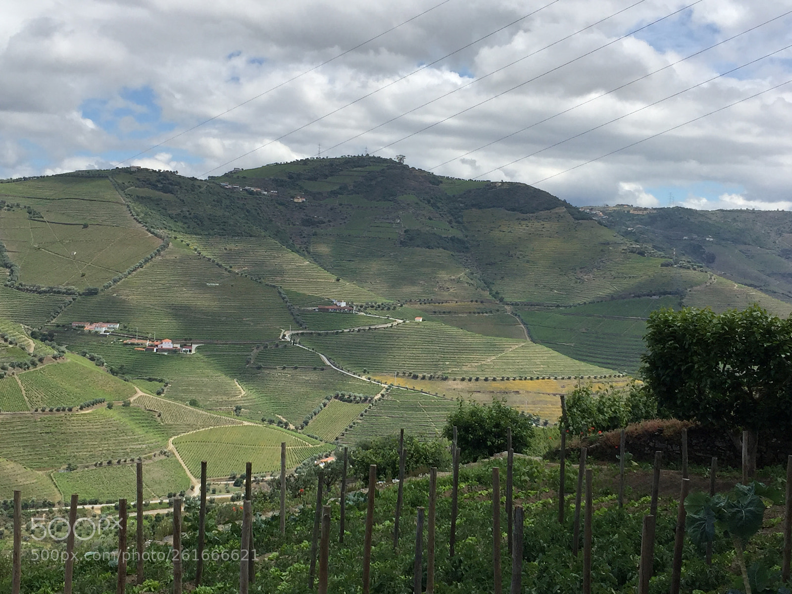 Apple iPhone 6 Plus sample photo. Douro valley at paulo's photography