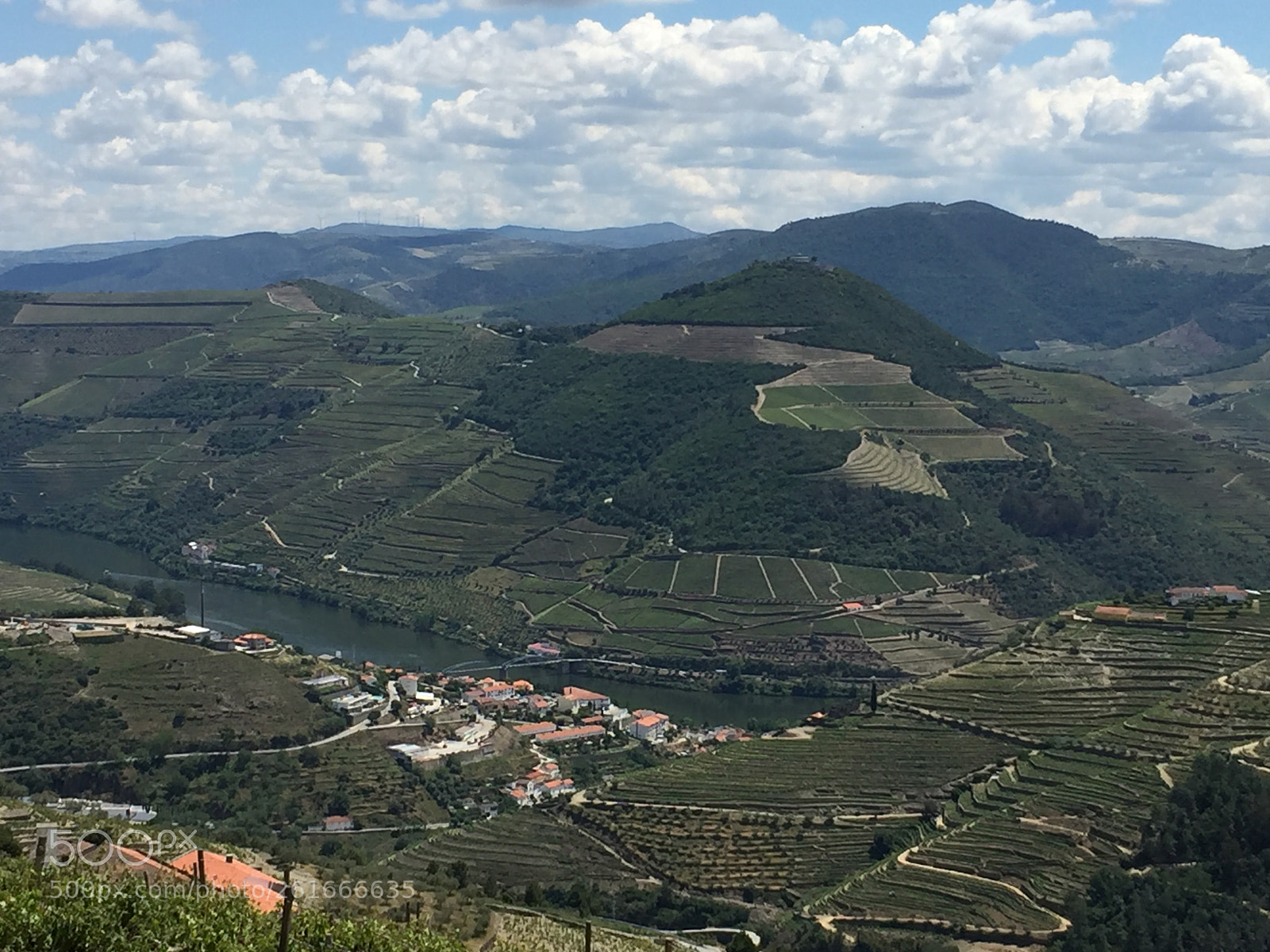 Apple iPhone 6 Plus sample photo. Douro valley: towards pinhao photography