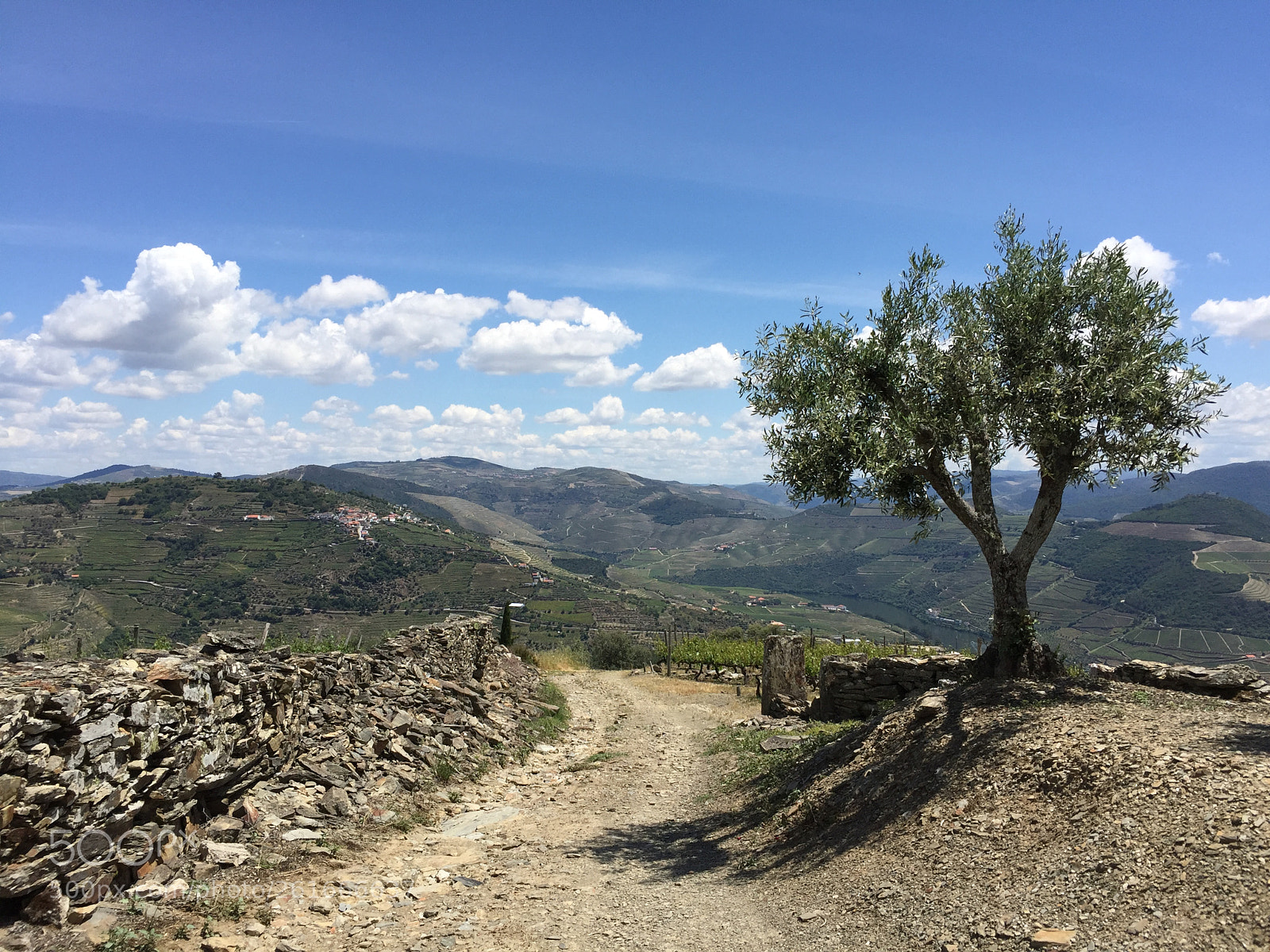 Apple iPhone 6 Plus sample photo. Douro valley leaving provesende photography