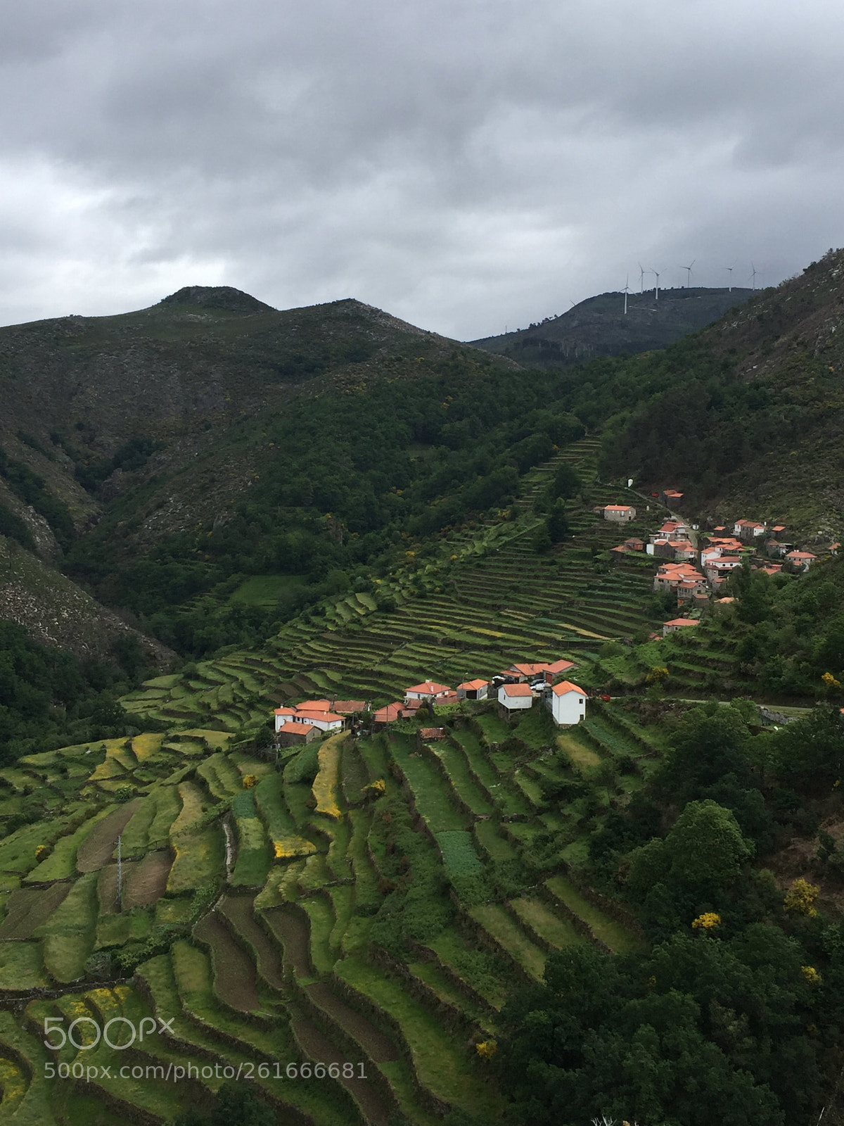 Apple iPhone 6 Plus sample photo. View point between peneda photography