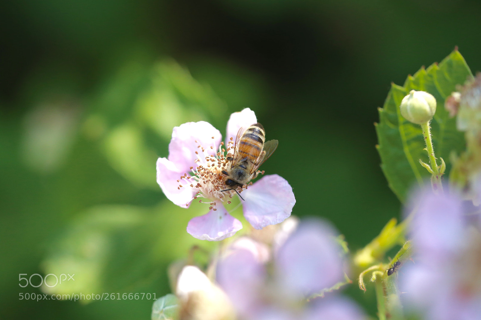 Canon EOS 6D sample photo. Stadtrandsiedlung malchow photography