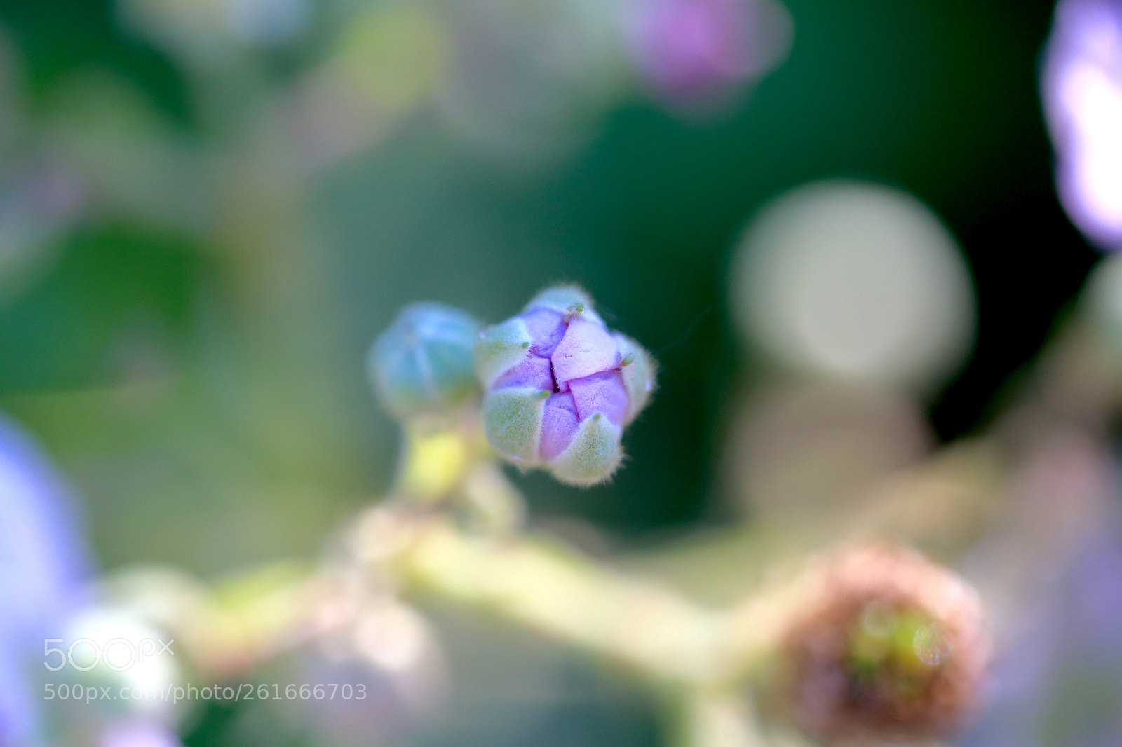 Canon EOS 6D sample photo. Stadtrandsiedlung malchow photography