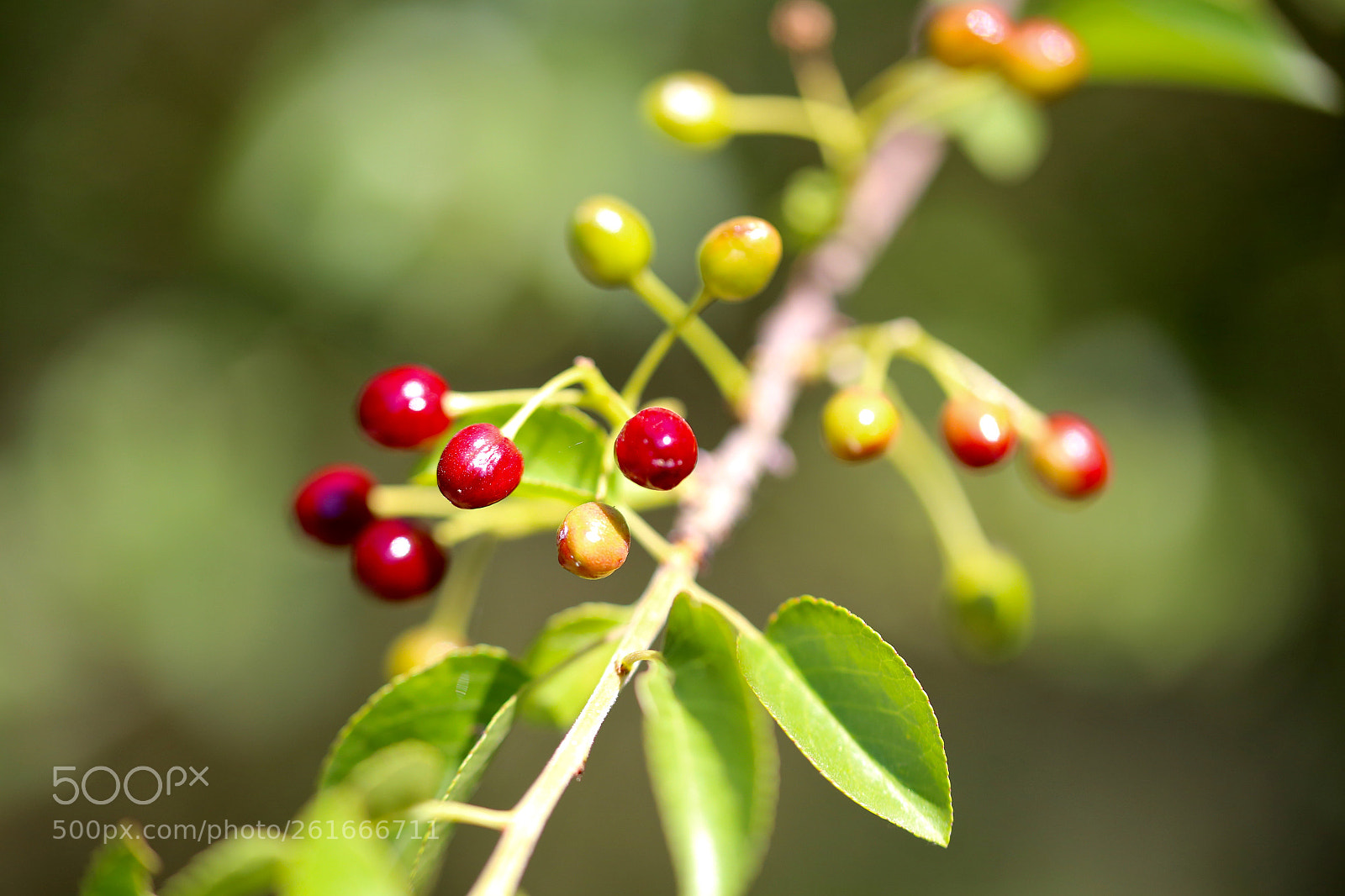 Canon EOS 6D sample photo. Stadtrandsiedlung malchow photography