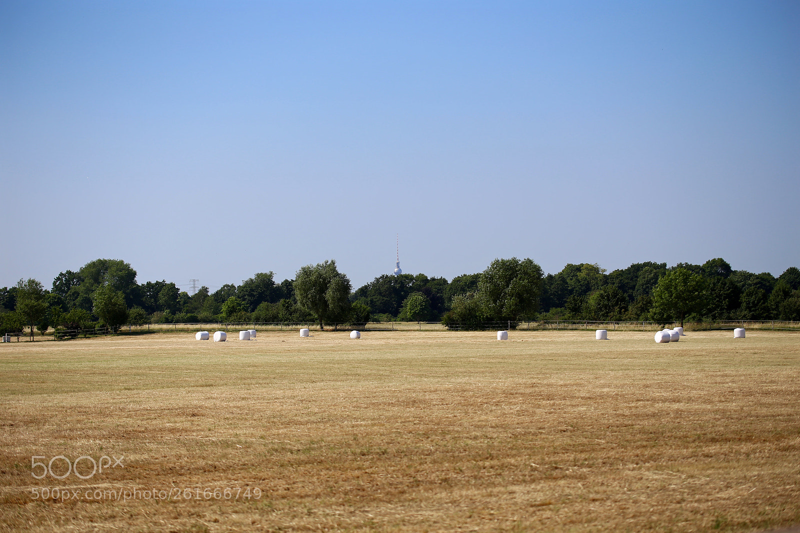 Canon EOS 6D sample photo. Stadtrandsiedlung malchow photography