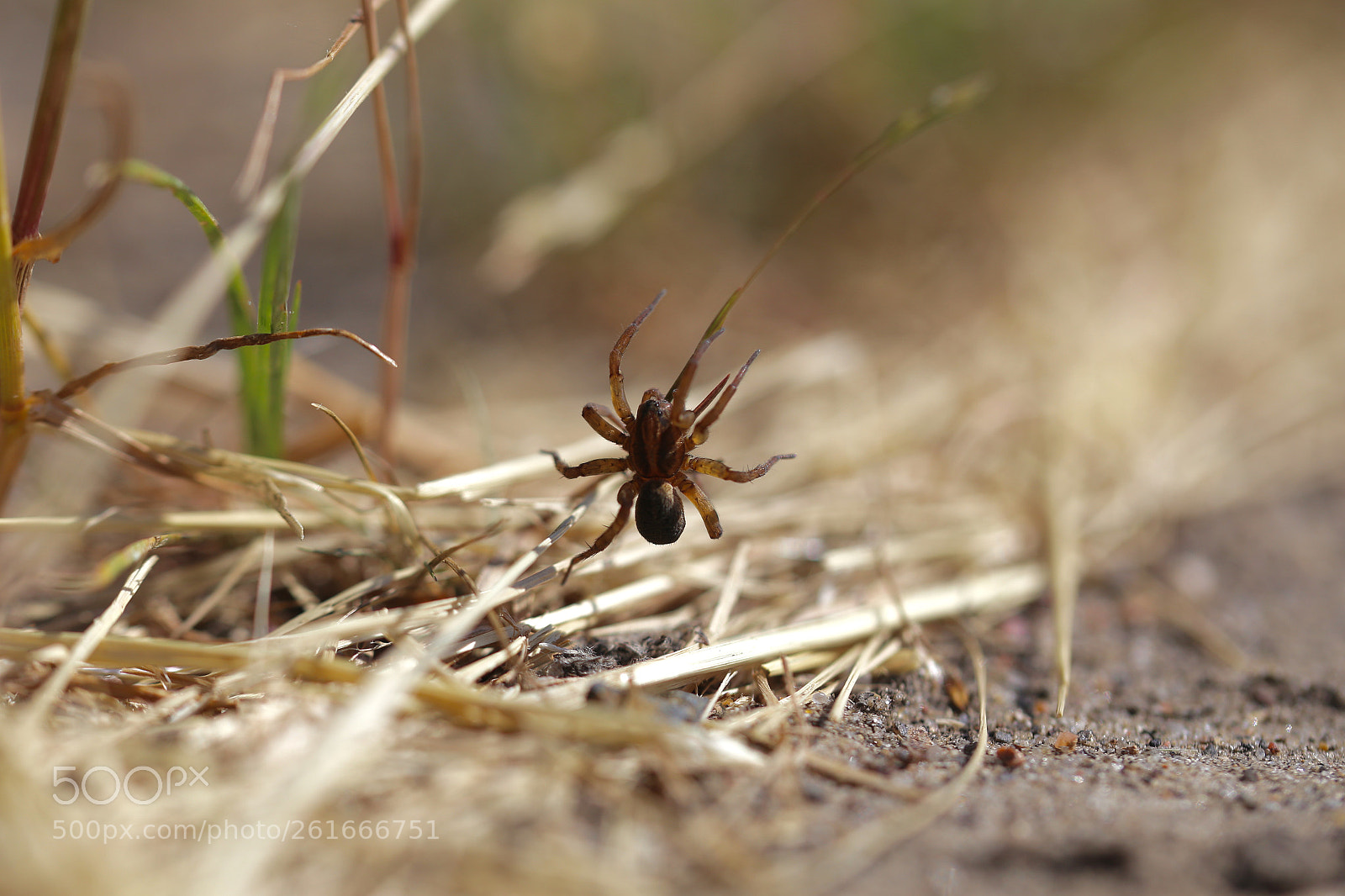 Canon EOS 6D sample photo. Stadtrandsiedlung malchow photography