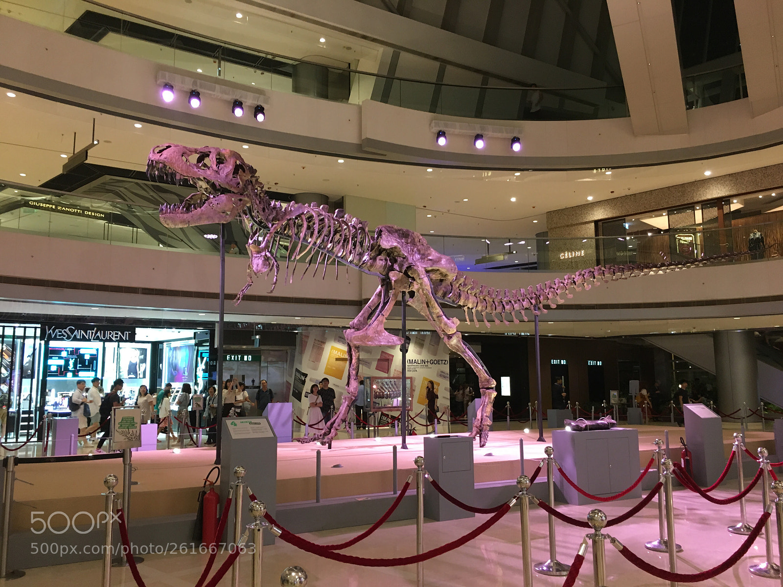 Apple iPhone 6s sample photo. 20180610 - dinosaur in photography