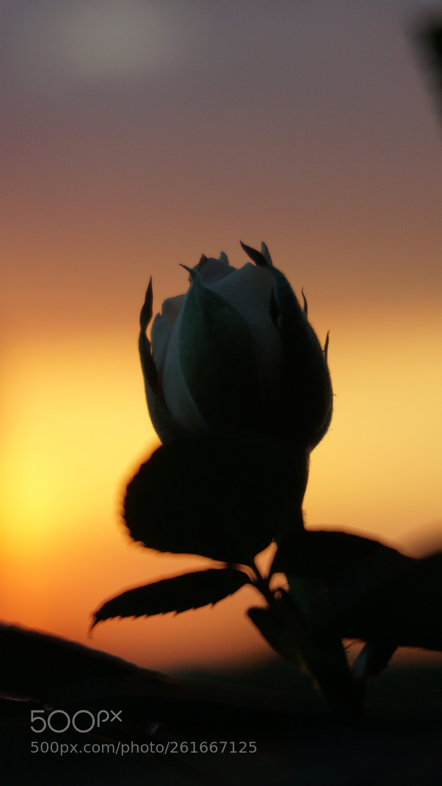 Sony a5100 sample photo. Sunset photography