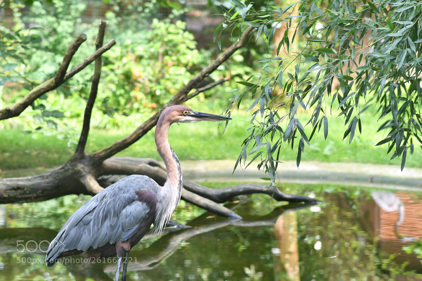 Nikon AF-S Nikkor 85mm F1.8G sample photo. . photography