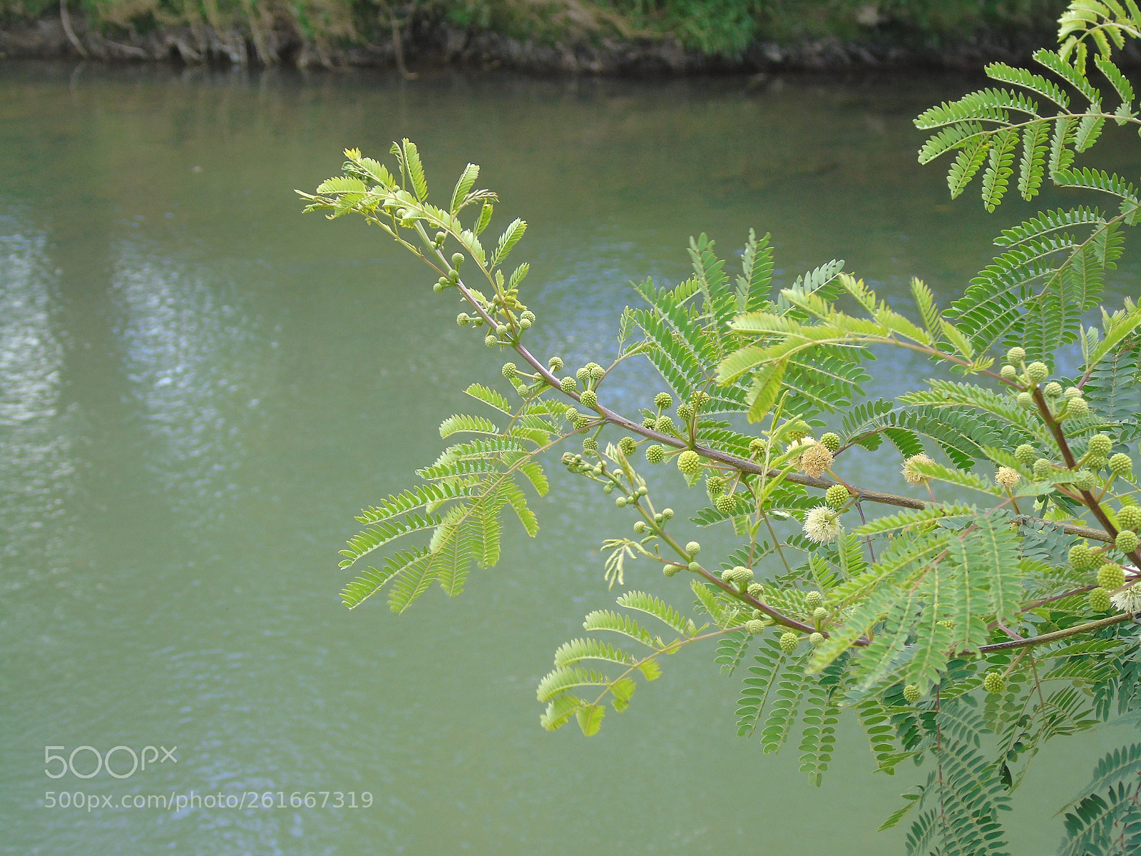Sony Cyber-shot DSC-H400 sample photo. Dsc photography