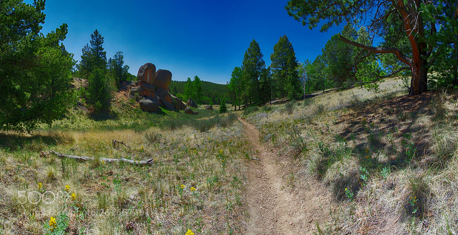 Pentax K-5 IIs sample photo. Untitled panorama 430 photography