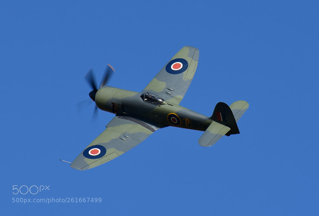 Nikon D7200 sample photo. Sea fury photography