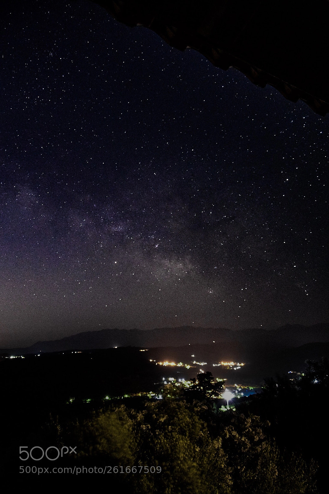 Nikon D3300 sample photo. • stardust • photography