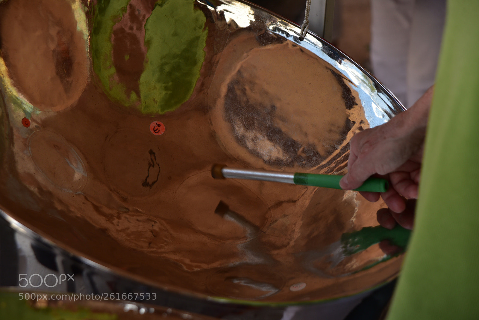 Nikon D750 sample photo. Untitled photography