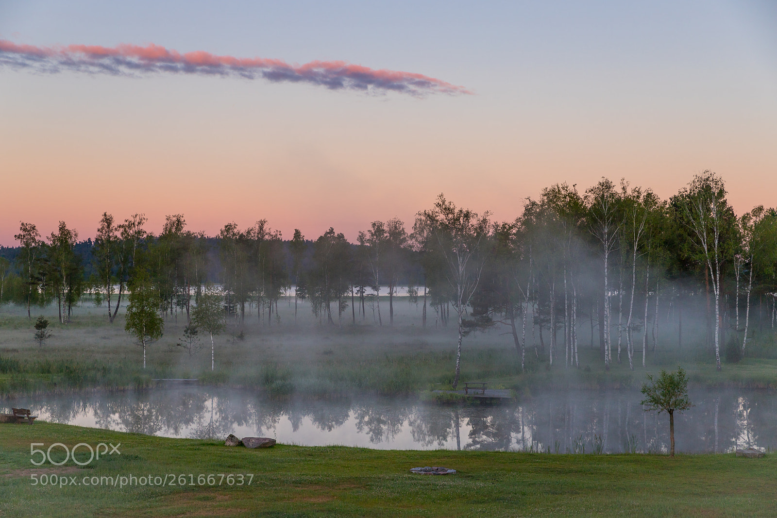 Canon EOS 6D Mark II sample photo. Morning fog photography