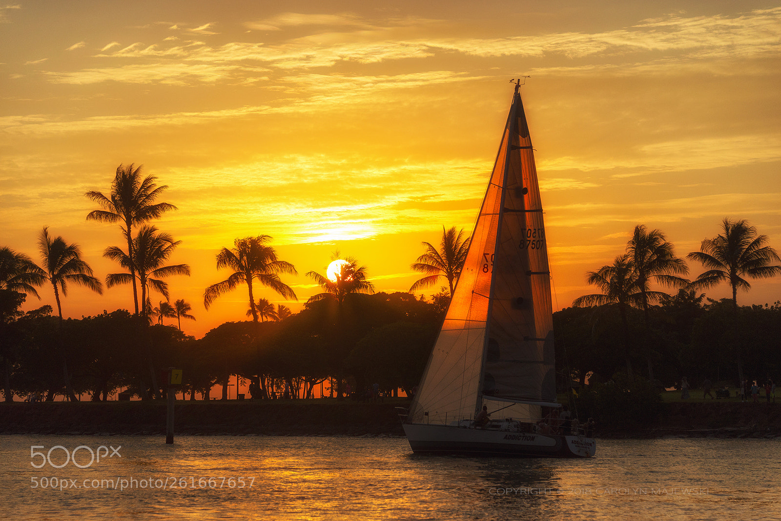 Nikon D610 sample photo. Sailing addiction photography