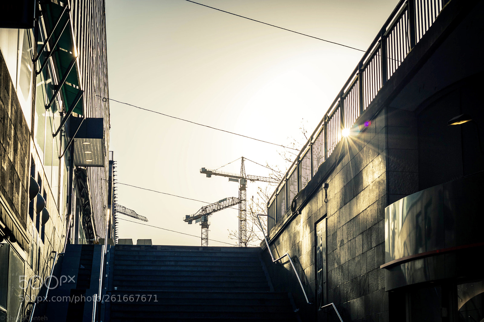 Canon EOS 750D (EOS Rebel T6i / EOS Kiss X8i) sample photo. Street star  photography