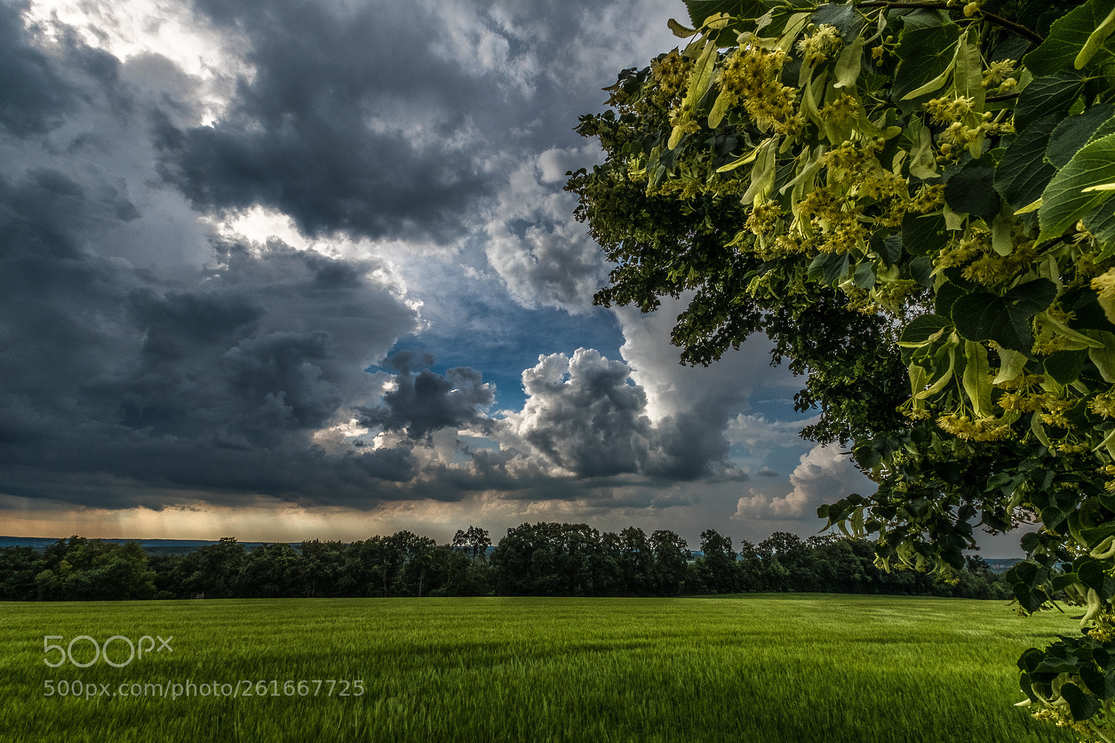 Fujifilm X-T2 sample photo. Before the thunderstorm photography