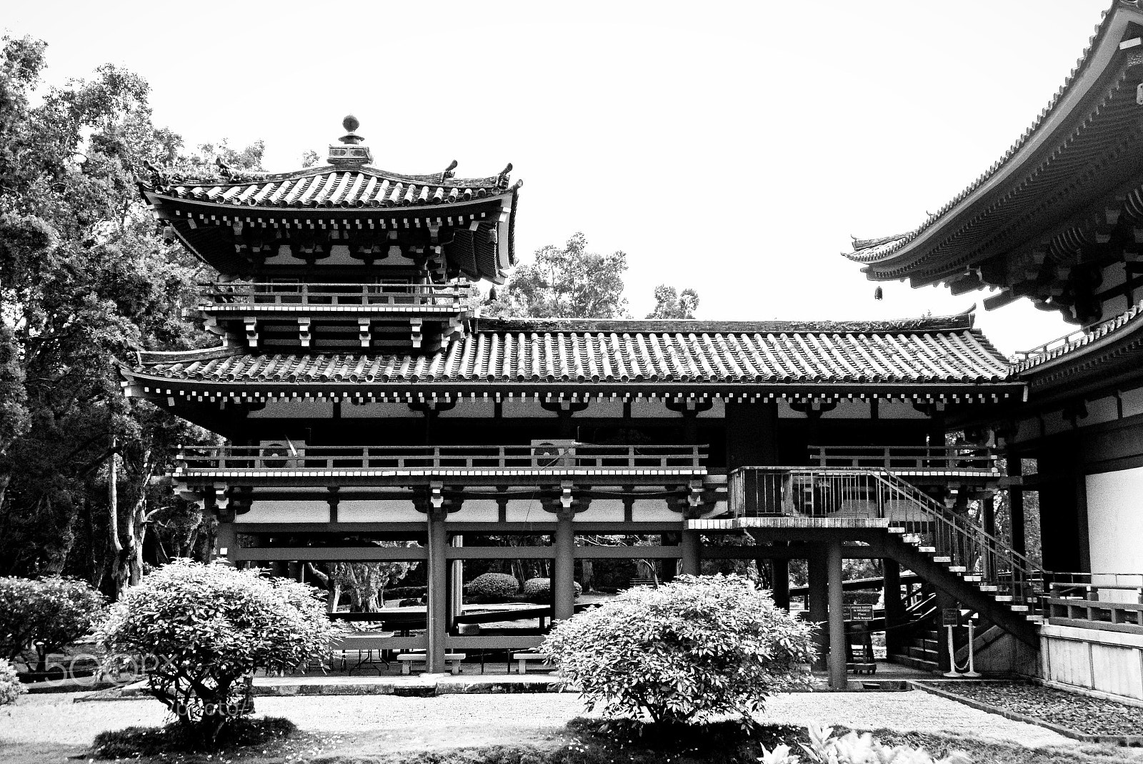 Sony Cyber-shot DSC-W290 sample photo. Byodo in temple oahu photography