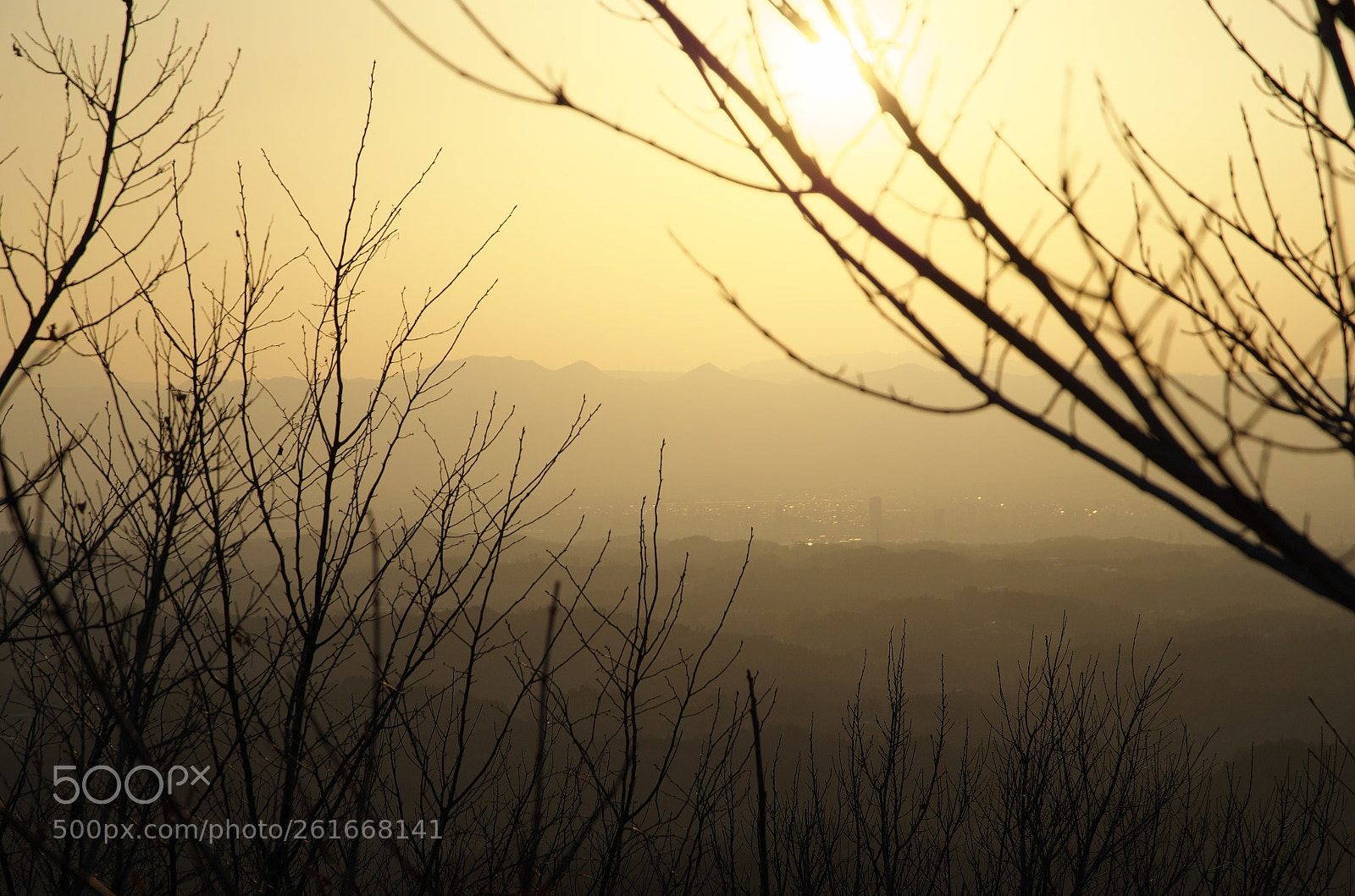 Pentax K-50 sample photo. Pale afternoon photography